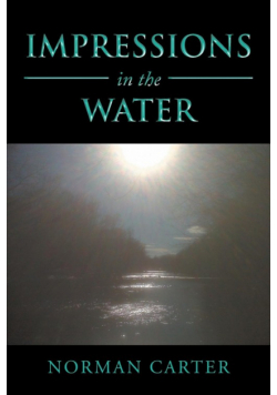 Impressions in the Water