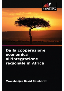 Dalla cooperazione economica all'integrazione regionale in Africa