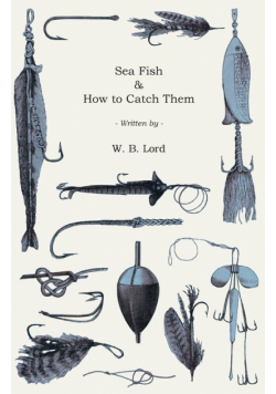 Sea Fish & How to Catch Them