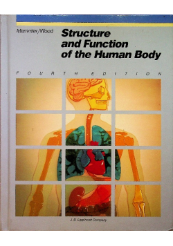 Structure and function of the human body wood