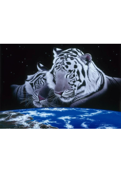 Puzzle 1500 Śpiące tygrysy, Schim Schimmel