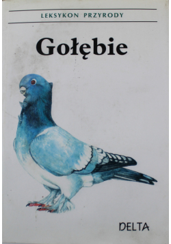 Gołębie