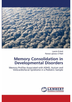 Memory Consolidation in Developmental Disorders