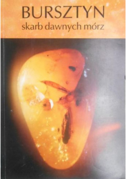 Bursztyn skarb dawnych mórz