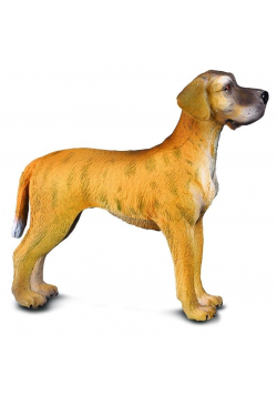 Pies dog niemiecki