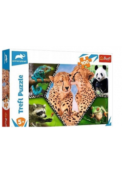 Puzzle 100 Piękno natury TREFL