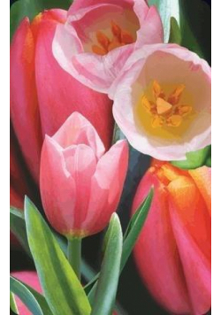 Mini kartka 3D Tulipan