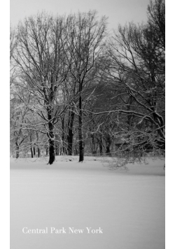 Central Park New York Journal