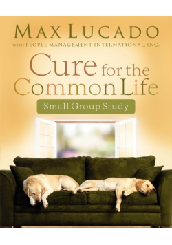 Cure for the Common Life Small Group Study