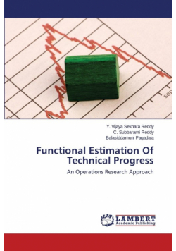 Functional Estimation Of Technical Progress