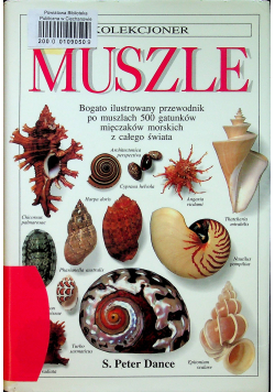 Muszle