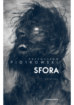 Komisarz Igor Brudny (tom 2). Sfora