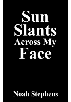Sun Slants Across My Face