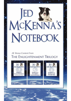 Jed McKenna's Notebook