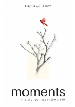 Moments - The Stories that Make a Life