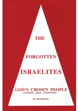 The Forgotten Israelites