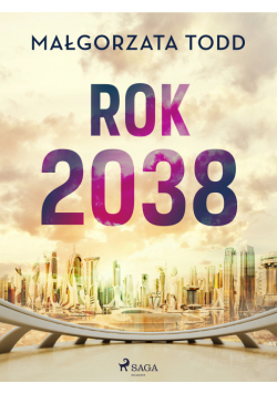 Rok 2038