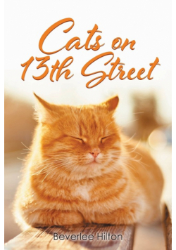 Cats on 13th Street