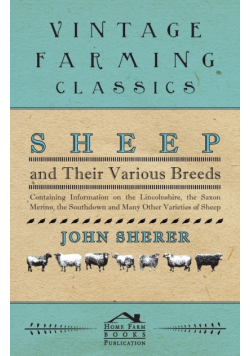 Sheep and Their Various Breeds - Containing Information on the Lincolnshire, the Saxon Merino, the Southdown and Many Other Varieties of Sheep