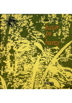 Katar po burzy
