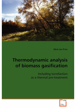 Thermodynamic analysis of biomass gasification