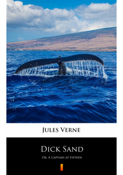 Dick Sand. Or, A Captain at Fifteen