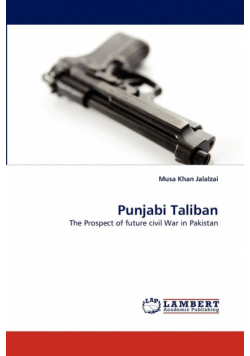 Punjabi Taliban