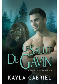 Le Salut de Gavin