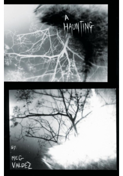 A Haunting
