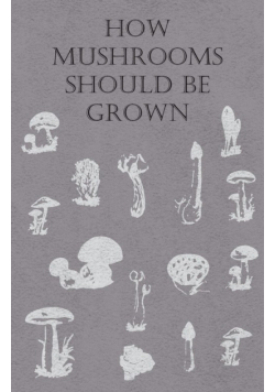 How Mushrooms Should Be Grown