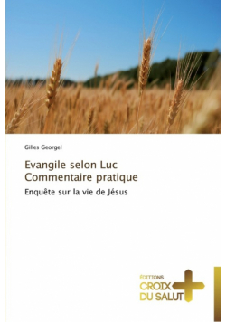 Evangile selon luc   commentaire pratique
