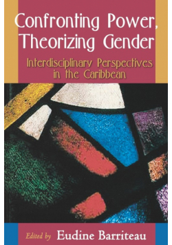 Confronting Power Theorizing Gender