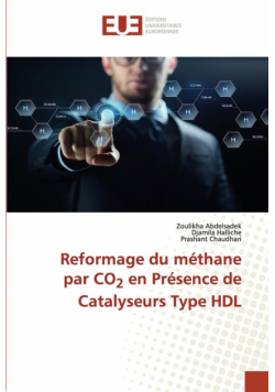 Reformage du méthane par CO2 en Présence de Catalyseurs Type HDL