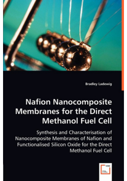 Nafion Nanocomposite Membranes for the Direct Methanol Fuel Cell
