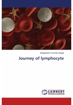 Journey of Lymphocyte