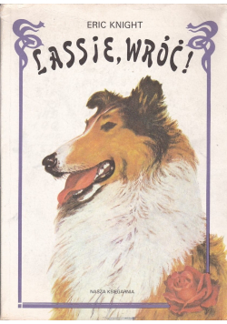 Lassie wróć
