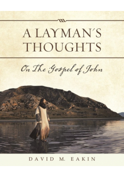 A Layman's Thoughts