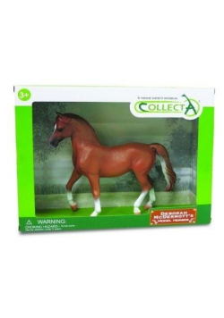 Klacz Lusitano Chesnut w opakowaniu
