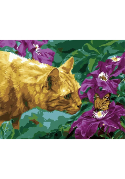 Malowanie po numerach - Poznajmy się 40x50cm