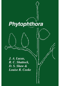 Phytophthora