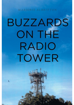 Buzzards on the Radio Tower