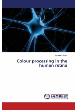 Colour Processing in the Human Retina