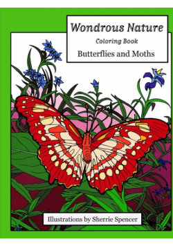 Wondrous Nature Butterflies and Moths