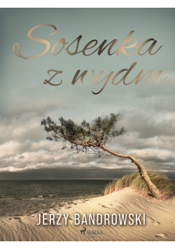Sosenka z wydm