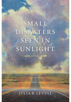 Small Disasters Seen in Sunlight