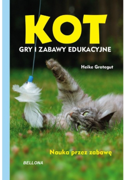 Kot Gry i zabawy edukacyjne
