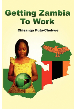 Getting Zambia to Work