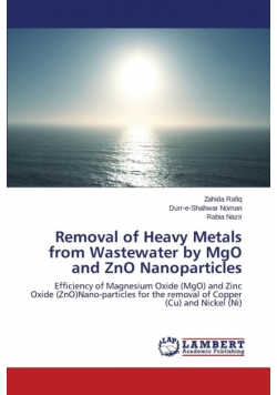Removal of Heavy Metals from Wastewater by Mgo and Zno Nanoparticles