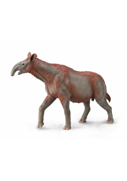 Paraceratherium