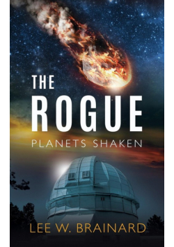 The Rogue